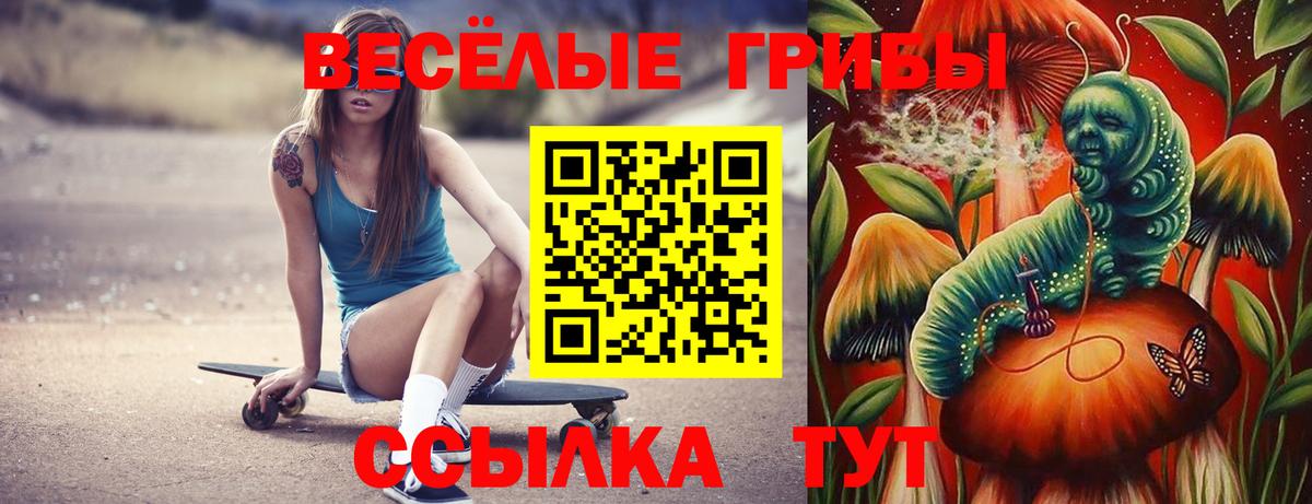 Галлюциногенные грибы GOLDEN TEACHER  Вход с VPN  Асбест  где продают   Галлюциногенные грибы мицелий 
